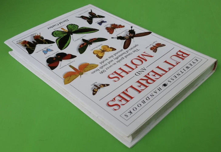 BUTTERFLIES AND MOTHS BY David Carter