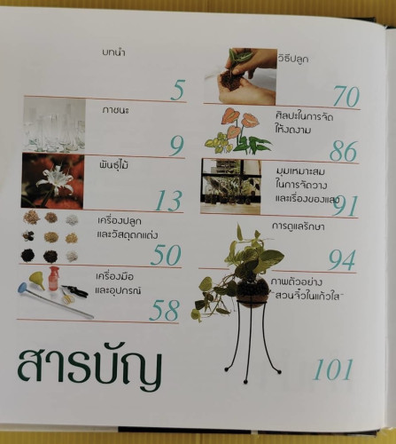 สวนจิ๋วในแก้วใส  โดย มัญชุสา วัฒนพร 2