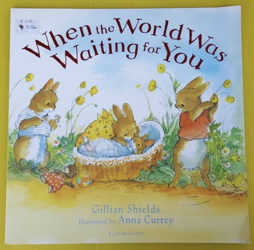 When the World Was Waiting for You  by Gillian Shields