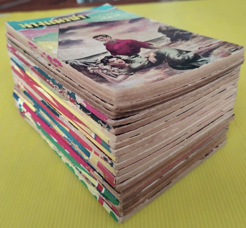 นางแมวป่า 20 เล่มจบ  โดย ช่อลิลลี่ - พริ้มเพรา (ปกภาพวาด เหม เวชกร ประมาณ 9 เล่ม) 7