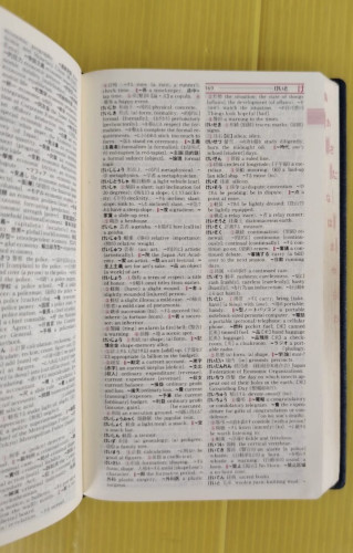 EXCEED JAPANESE-ENGLISH DICTIONARY