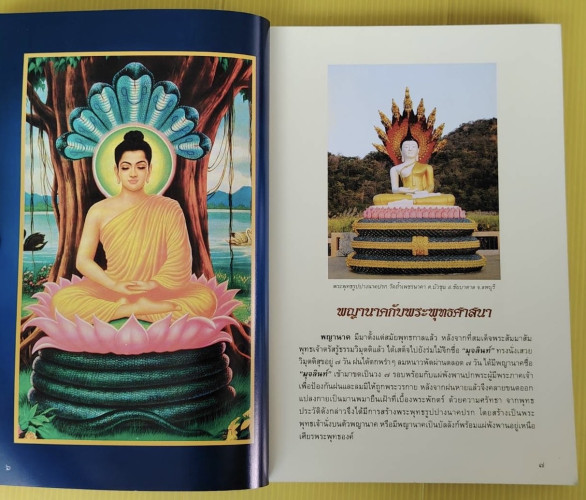 อัศจรรย์บั้งไฟพญานาค โดย อาจารย์ทศพล จังพานิชย์กุล 2