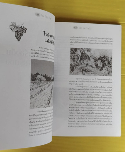 ไวน์ ไวน์ ไวน์  หนังสือสำหรับผู้ผลิตไวน์มือใหม่  โดย ชัยรัตน์ โมไนยพงศ์ 6
