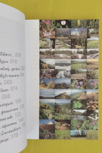 ไปตามฝัน...คนรักป่า  โดย คมฉาน ตะวันฉาย 2
