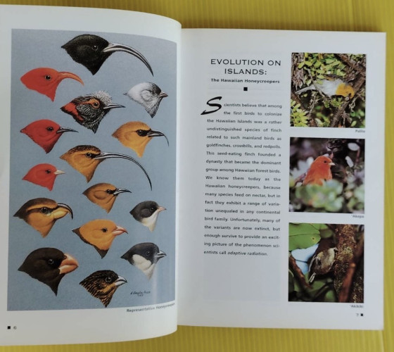 A Pocket Guide to HAWAI 'I'S BIRDS 4