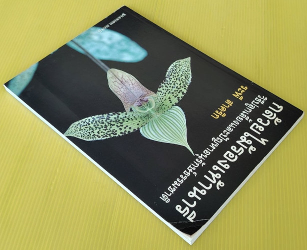 กล้วยไม้รองเท้านารี โดย ระพี สาคริก 8