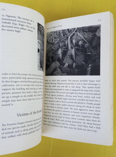 Sapiens : A Brief History of Humankind by Yuval Noah Harari