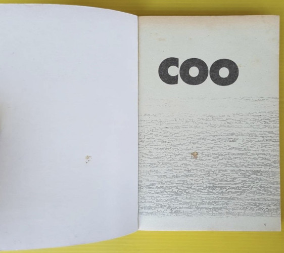 Coo เสียงสะท้อนจากโลกสีคราม เล่มจบ 1