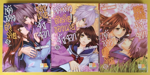 เจ้าสาวตัวร้ายของนายจิ้งจอก 3 เล่มจบ  by SAKI AIKAWA