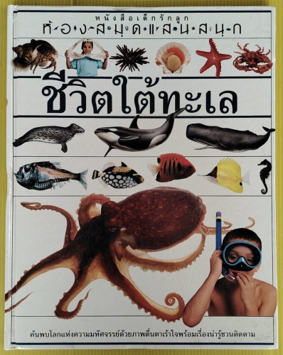 ชีวิตใต้ทะเล  หนังสือเด็กรักลูก ห้องสมุดแสนสนุก
