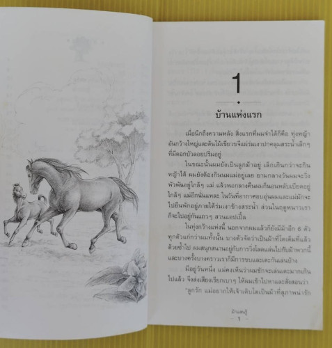 ม้าแสนรู้  แอนนา ซีเวล ประพันธ์ 3