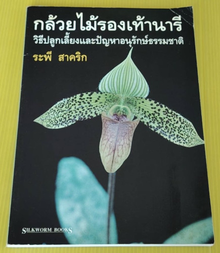 กล้วยไม้รองเท้านารี โดย ระพี สาคริก
