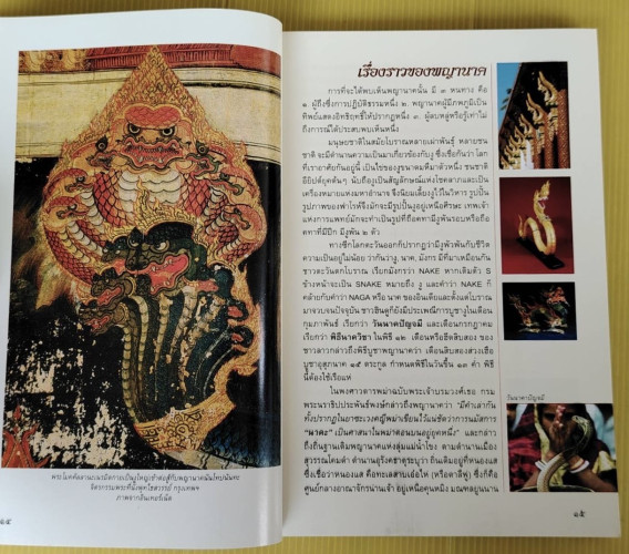 อัศจรรย์บั้งไฟพญานาค โดย อาจารย์ทศพล จังพานิชย์กุล 3