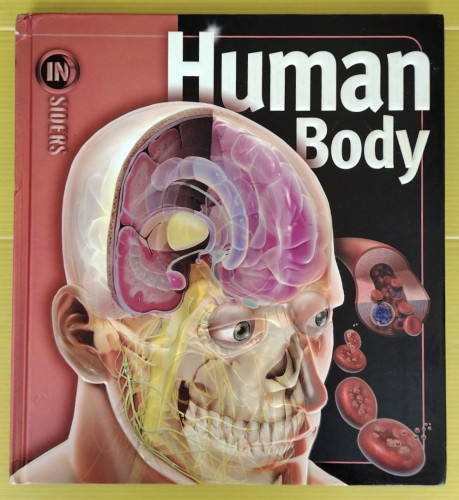 Human Body by Linda Calabresi