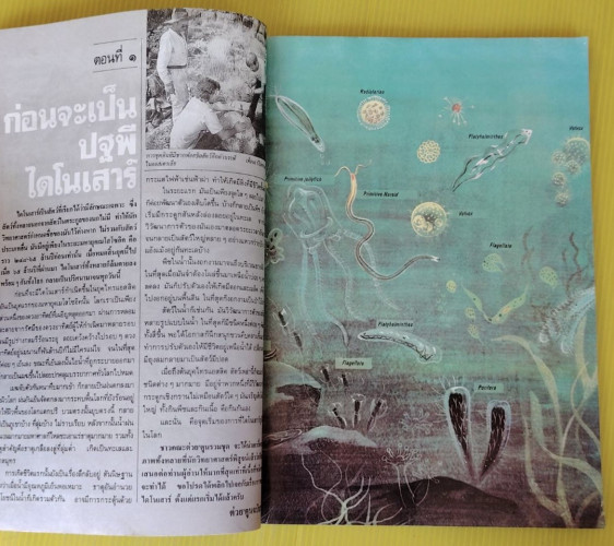 ต่วย' ตูน ฉบับรวมชุด ลำดับที่ 20 ชุด ไดโนเสาร์ อสุรสัตว์ชุดสุดท้าย 6