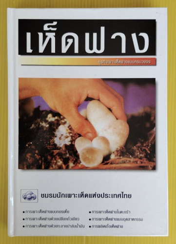 เห็ดฟาง ธุรกิจเพาะเห็ดฟางแบบครบวงจร  อ.บุษบา ล้อประเสริฐ เขียน
