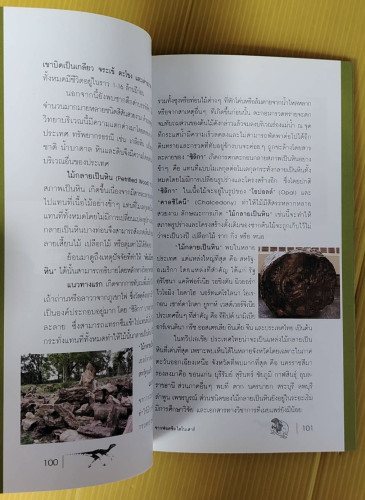 เรียนรู้ธรณีวิทยาจากฟอสซิลไดโนเสาร์ 5
