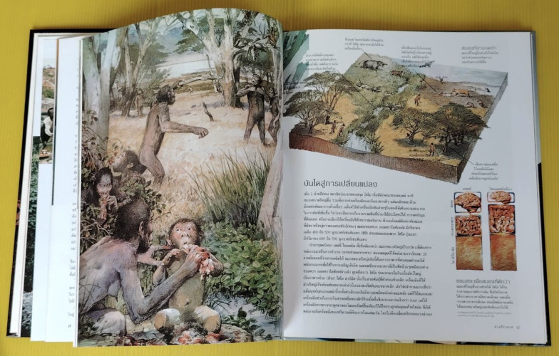 ไขปริศนากำเนิดมนุษย์ NATIONAL GEOGRAPHIC ฉบับพิเศษ 5