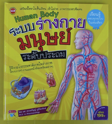 Human Body ระบบร่างกายมนุษย์ ระดับประถม โดย ผศ.ดร.อรกัญญ์ ภูมิโคกรักษ์