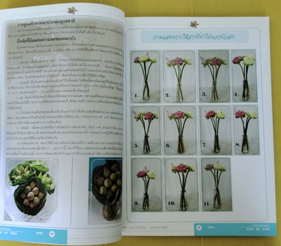 สารพันงานเครื่องสด ชุด บัวไทยกับใบตอง  โดย อาจารย์ขวัญใจ พฤกษประภัสสร 3
