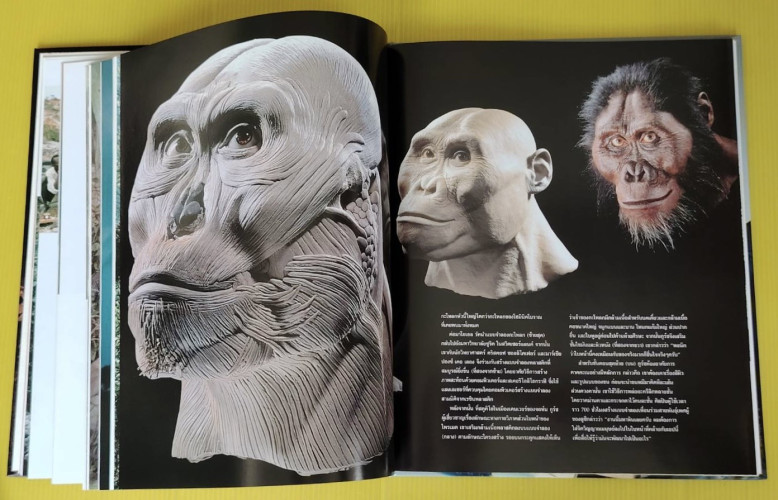 ไขปริศนากำเนิดมนุษย์ NATIONAL GEOGRAPHIC ฉบับพิเศษ 7