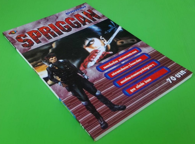 คู่มือเฉลยเกมส์ SPRIGGAN 5