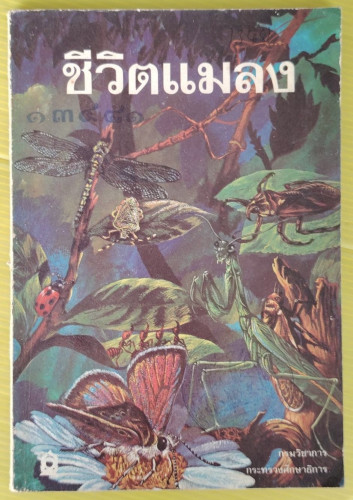 ชีวิตแมลง หนังสืออ่านเพิ่มเติมชุดวิทยาศาสตร์ ประโยคประถมศึกษา