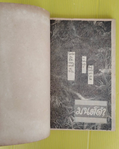 มนต์ดำ  เรื่องและภาพ ทากาชินะ เรียวโกะ 1