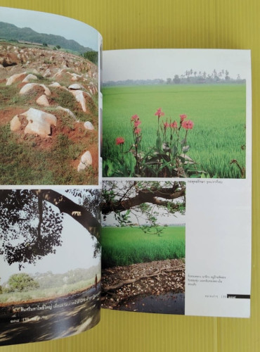 ตลาดเก่าๆ OLD MARKETS  โดย เอนก นาวิกมูล 6