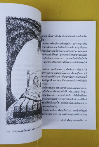 แม่วาดเมียบียอร์น ตอน Amazing Thailand  โดย จันทร์ ศรีจรูญ แอนเดอร์สัน 3