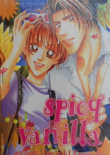 Spicy Vanilla (Orchid comics - เล่มเดียวจบ)