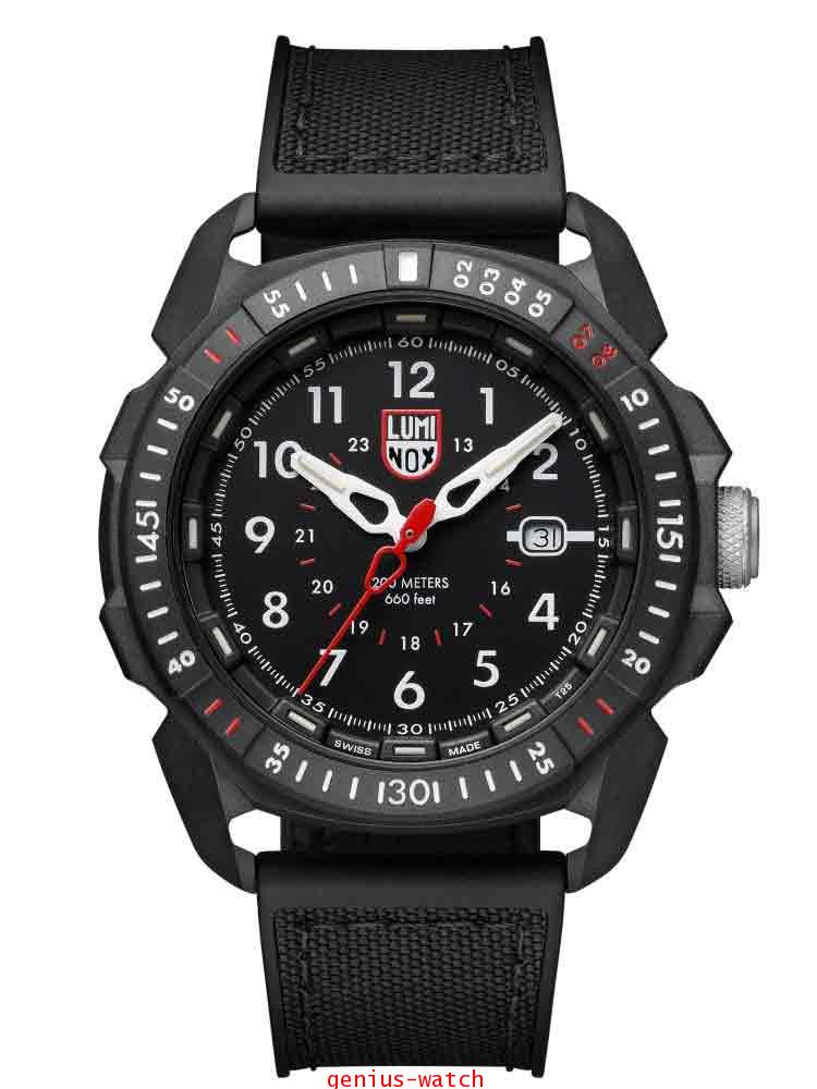 Luminox 6252 online