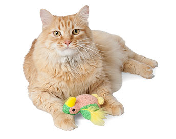 Terry Plush ของเล่นแมวมี Catnip - นกแก้ว 1