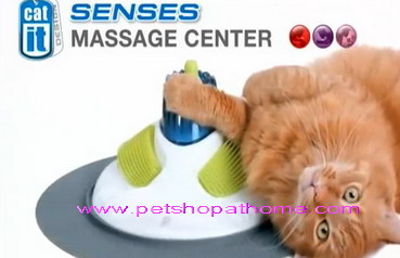 ของเล่นแมวที่นวด - Massage Center