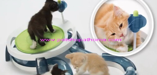 ของเล่นแมวฝึกทักษะแมว - Super Roller Circuit 5