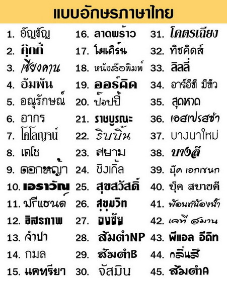 ป้ายไม้เพ้นท์ชื่อสัตว์เลี้ยง 5