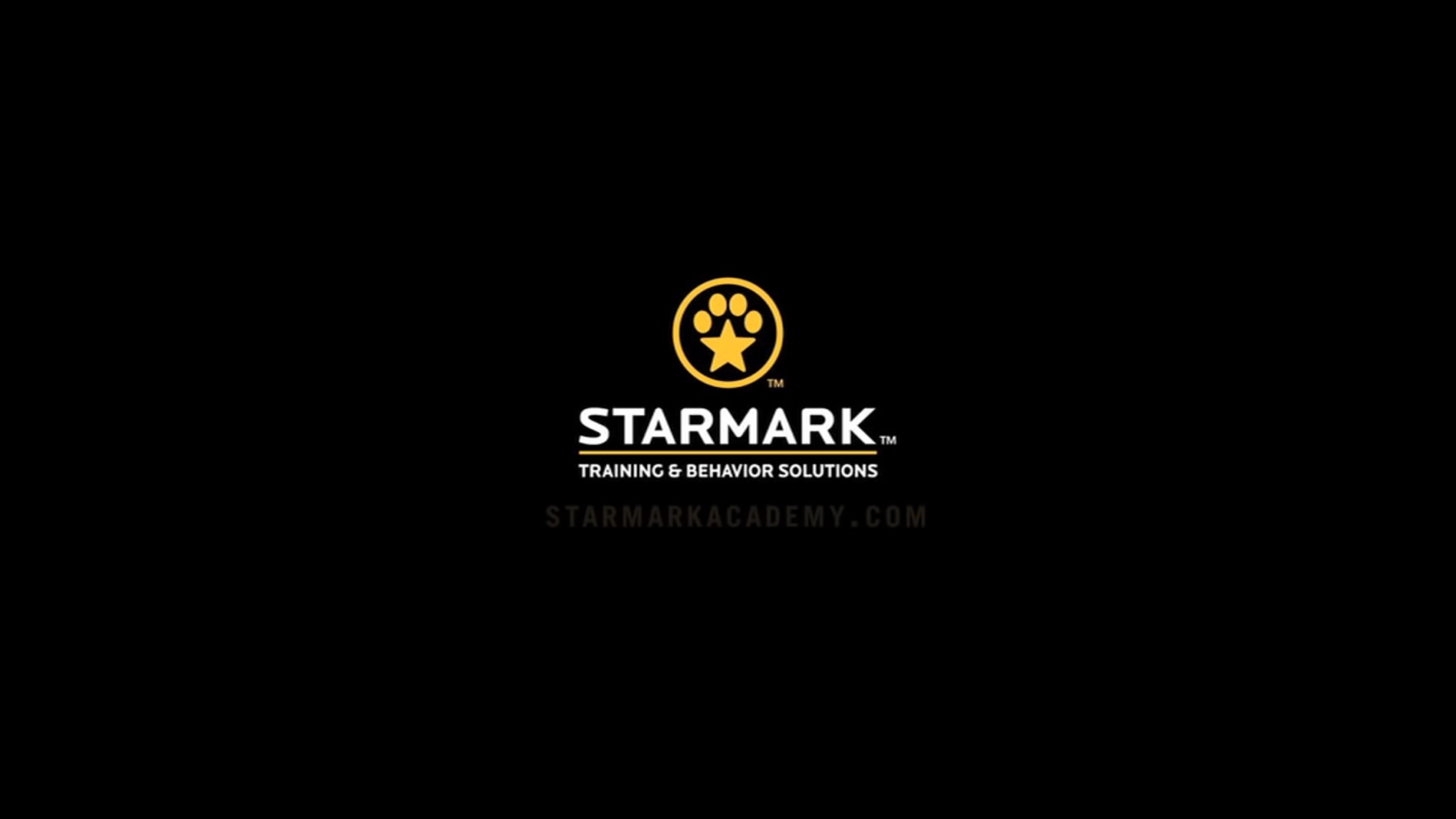 Starmark Far Flung ของเล่นสัตว์เลี้ยง 3