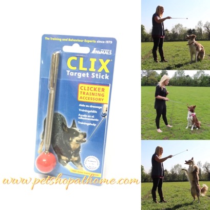 Clix Target Stick อุปกรณ์ไม้ฝึกสุนัข