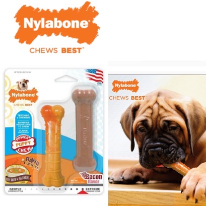 Nylabone Power Chew ของเล่นขัดฟัน