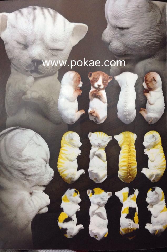 ลูกกรอกเหมียว เนื้อดินอุดผงลูกกรอก ครูบาทันใจ วัดป่างิ้ว จ.เชียงใหม่ 2