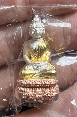 พระเศรษฐีนวโกฏิ (ชุบสามกษัตริย์), หลวงปู่หงษ์ วัดเพชรบุรี, จ.สุรินทร์