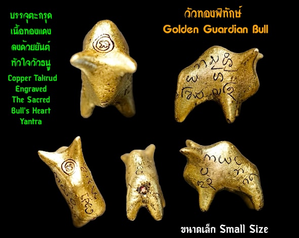 วัวทองพิทักษ์ (ขนาดเล็ก) ครูบาฐากูร วัดแม่แพะ จ.เชียงใหม่