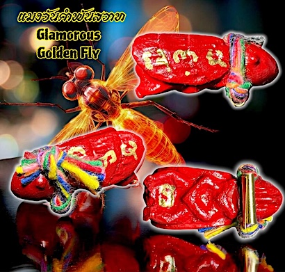 แมงวันคำพันสวาท ครูบาฐากูร วัดแม่แพะ จ.เชียงใหม่
