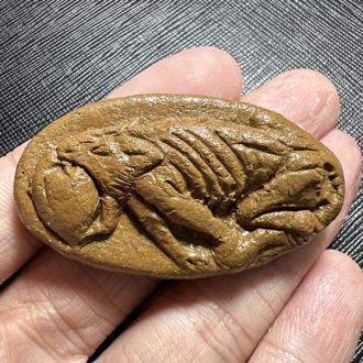 หมากินใจ ฤษีธรรมะราช สุวรรณไชยมุณี อาศรมรัตนเศรษฐี จ.ร้อยเอ็ด.