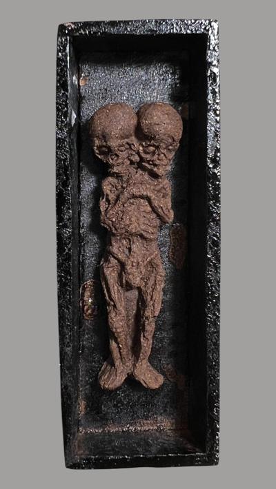 ลูกกรอกสองหัวนอนโลง ฤษีธรรมะราช สุวรรณไชยมุณี อาศรมรัตนเศรษฐีจ.ร้อยเอ็ด