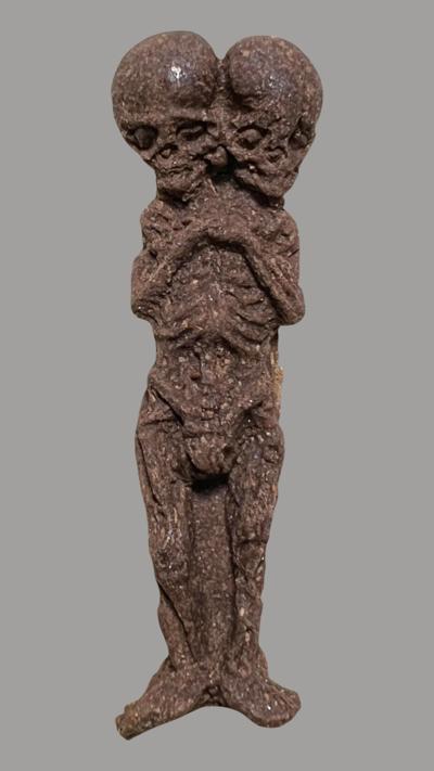 ลูกกรอกสองหัว ฤษีธรรมะราช สุวรรณไชยมุณี อาศรมรัตนเศรษฐีจ.ร้อยเอ็ด