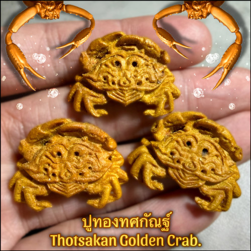 ปูทองทศกัณฐ์ Thotsakan Golden Crab 1