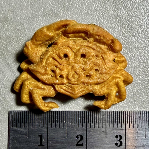 ปูทองทศกัณฐ์ Thotsakan Golden Crab 8