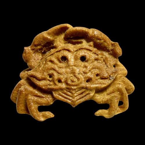ปูทองทศกัณฐ์ Thotsakan Golden Crab 2