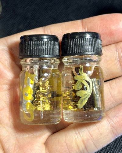 น้ำมันสมิงกินเหยื่อ (รุ่น.2) Predator Tiger Oil. (2nd batch) 1